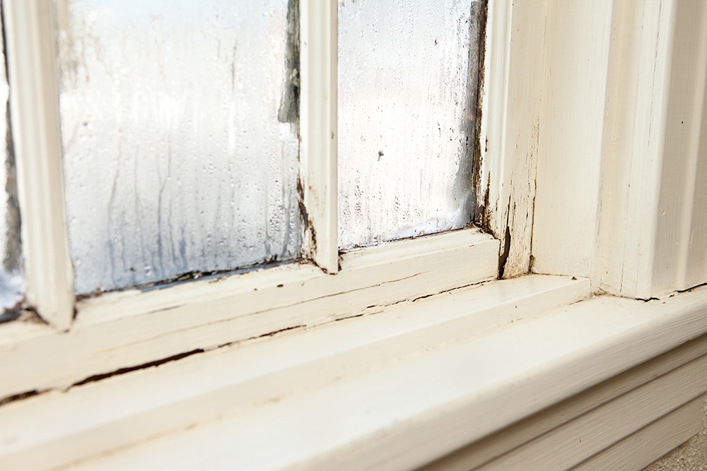 when to replace your windows window replacement